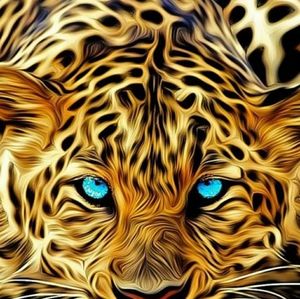 Meet your Posher, Vickie